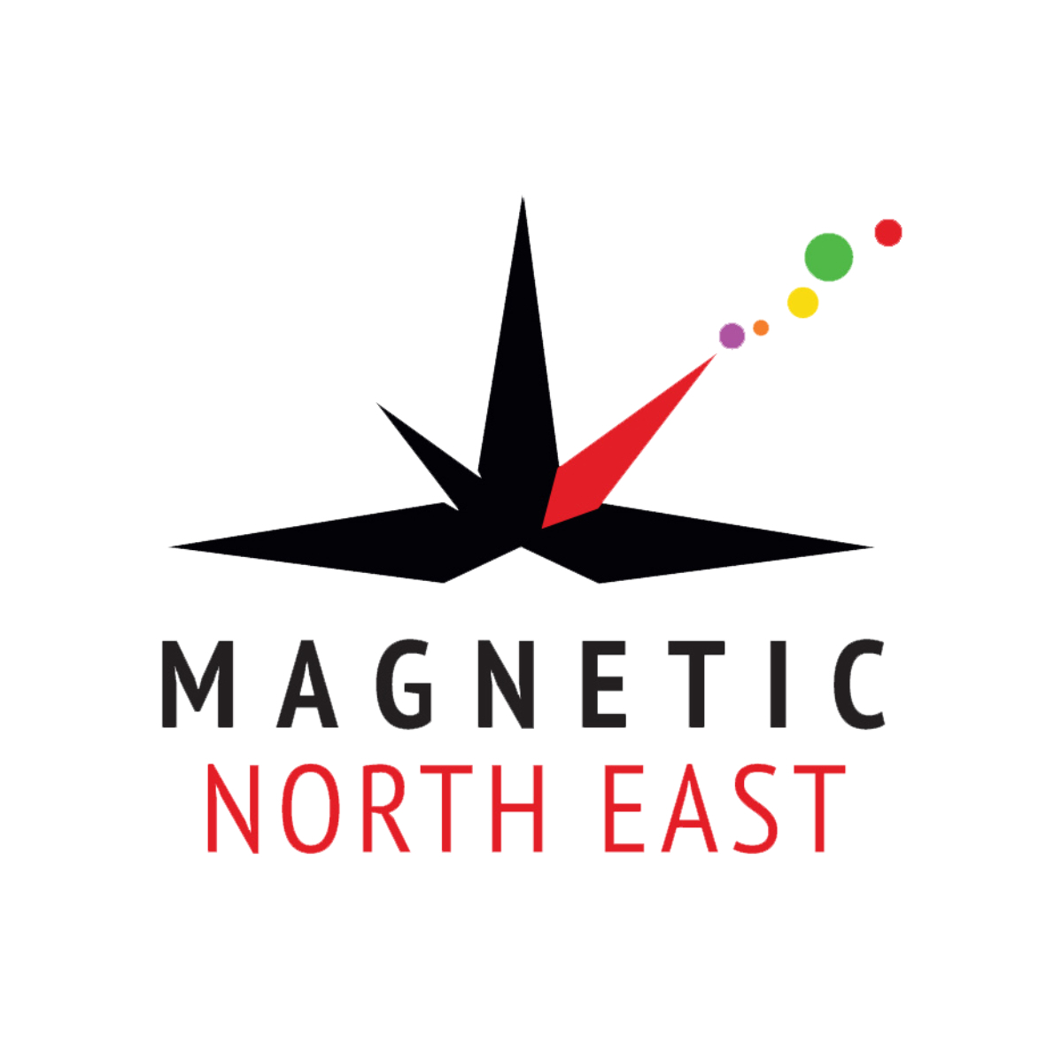 MNE logo white background