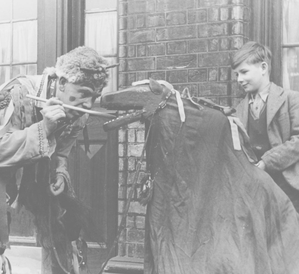 hobbyhorses2